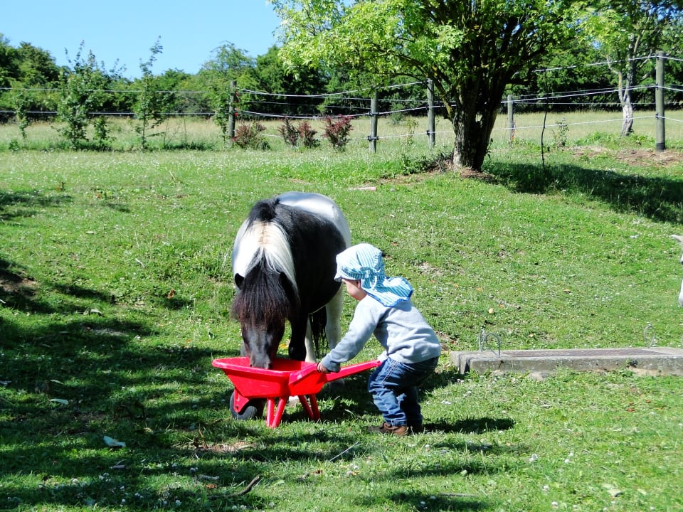 Außenansicht Burgbauernhof Katzenstein