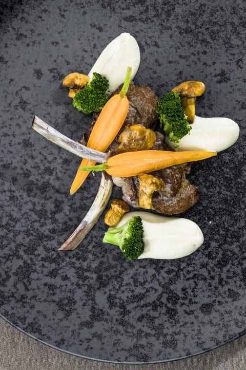 Gastro Hotel Golserhof