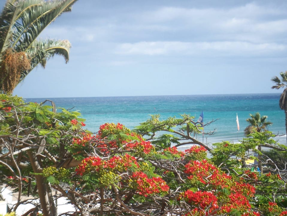 Blick von unserem Balkon SBH Fuerteventura Playa