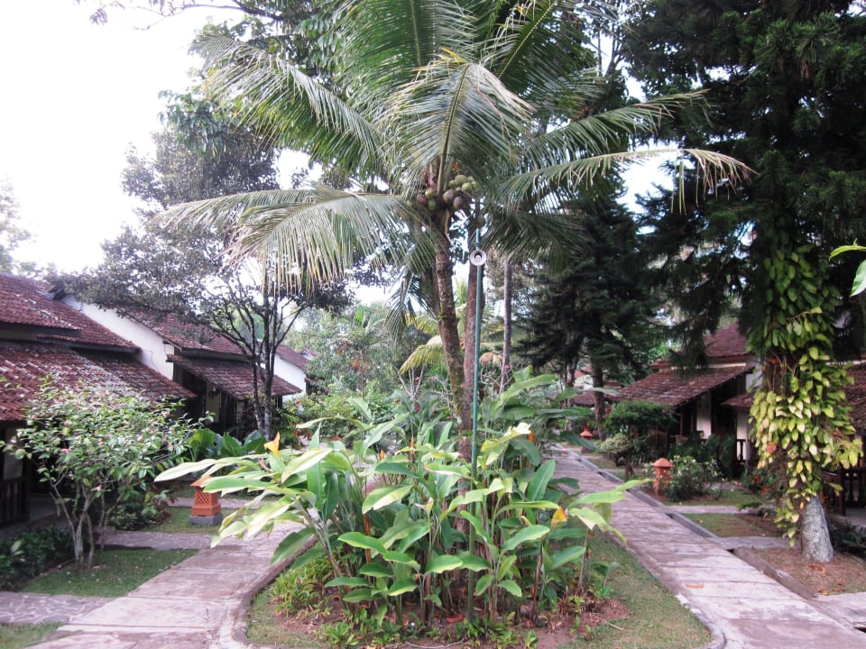 Garten Margo Utomo Agro Resort