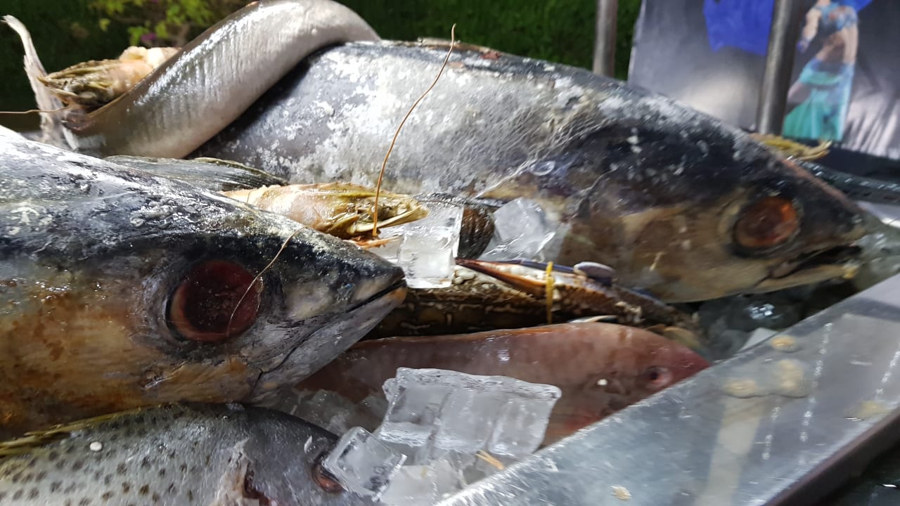 Gastro Stella Beach Resort & Spa Makadi Bay