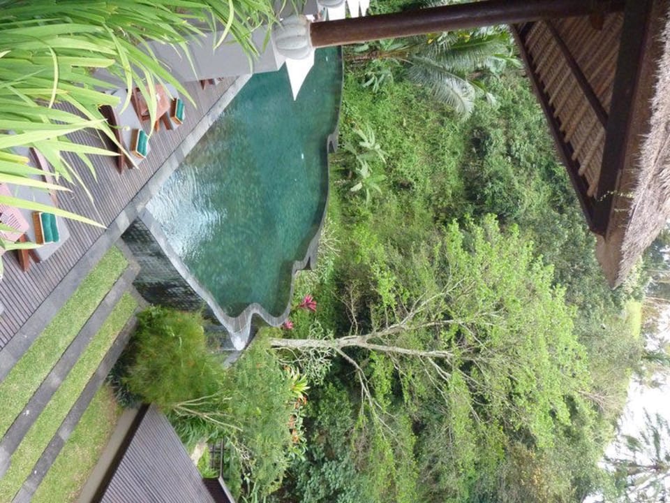 Der Spa Pool,herrlich zum relaxen Maya Ubud Resort & Spa Bali