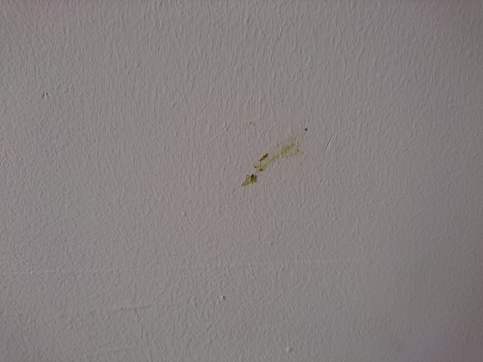 Zimmer Hotel Tia Maria