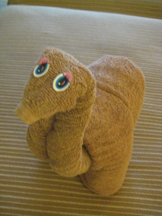 Handtuchfiguren Hotel Riu Tequila