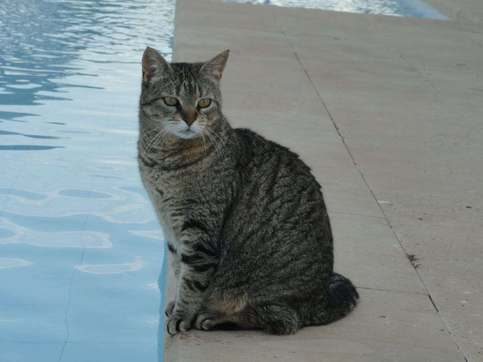 Und am Tag danach Bikini Island & Mountain Hotel Es Trenc