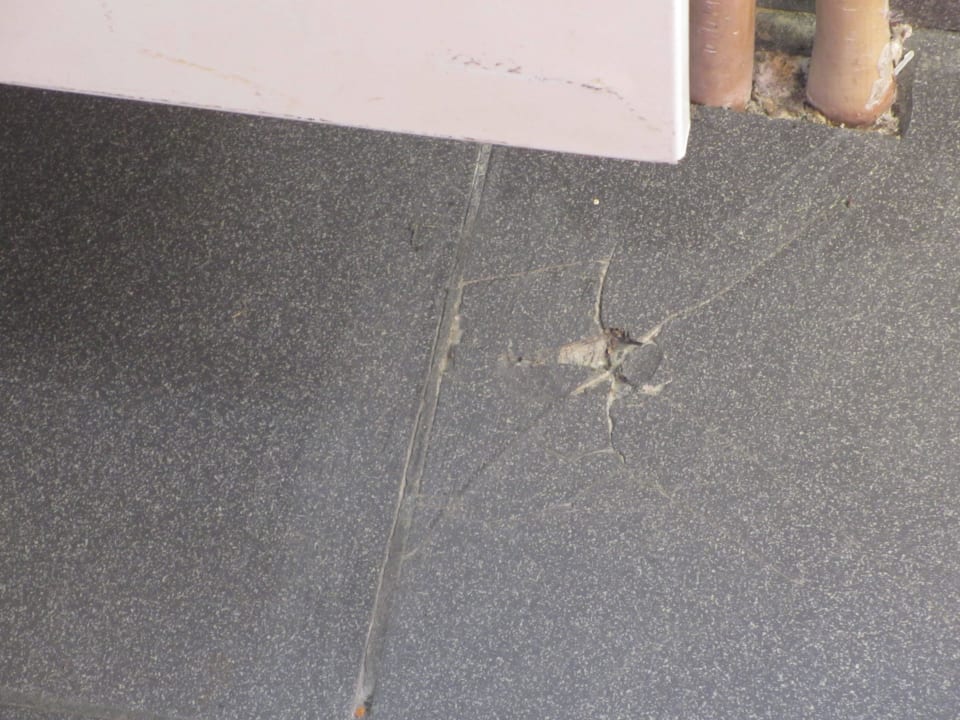 Defekte Fliese Center Parcs Park De Haan