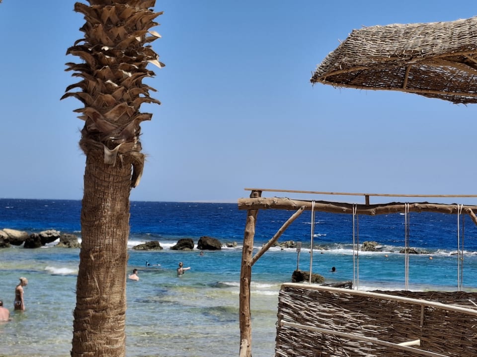 Strand Pickalbatros Citadel Resort