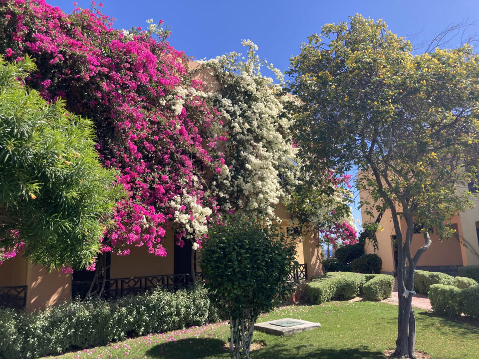 Gartenanlage Wadi Lahmy Azur Resort