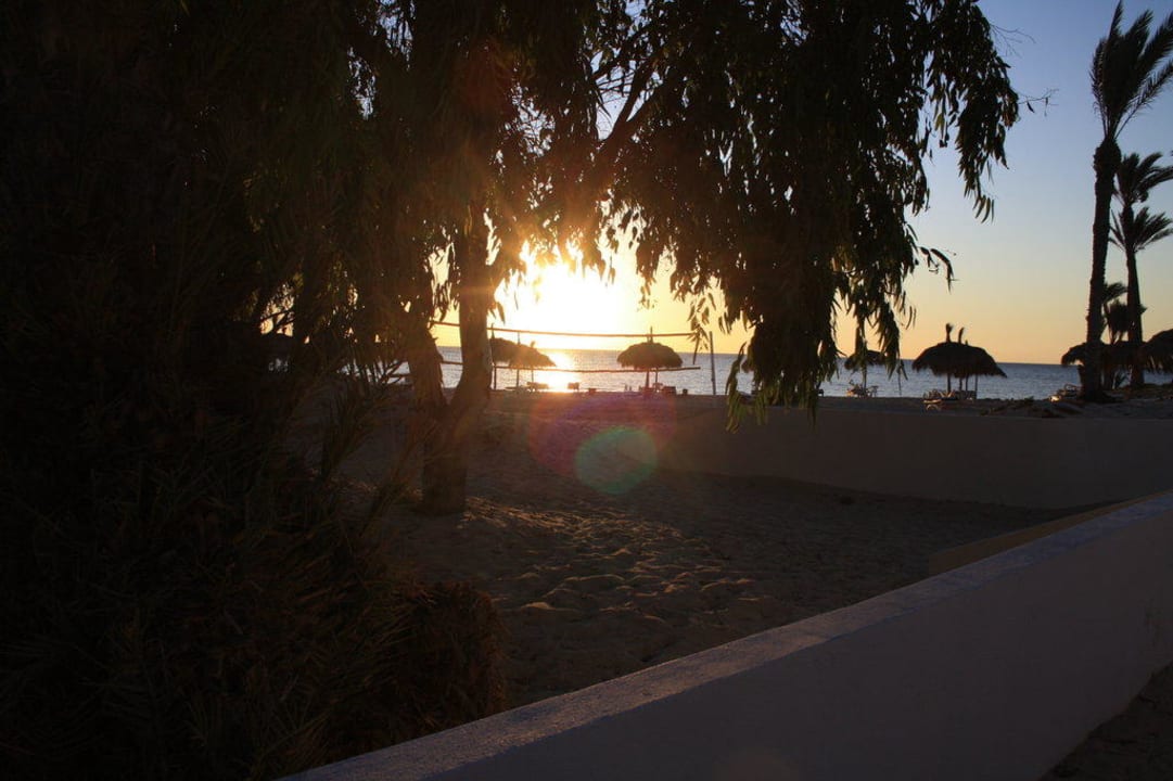 So muss ein Tag anfangen Hotel El Mouradi Djerba Menzel