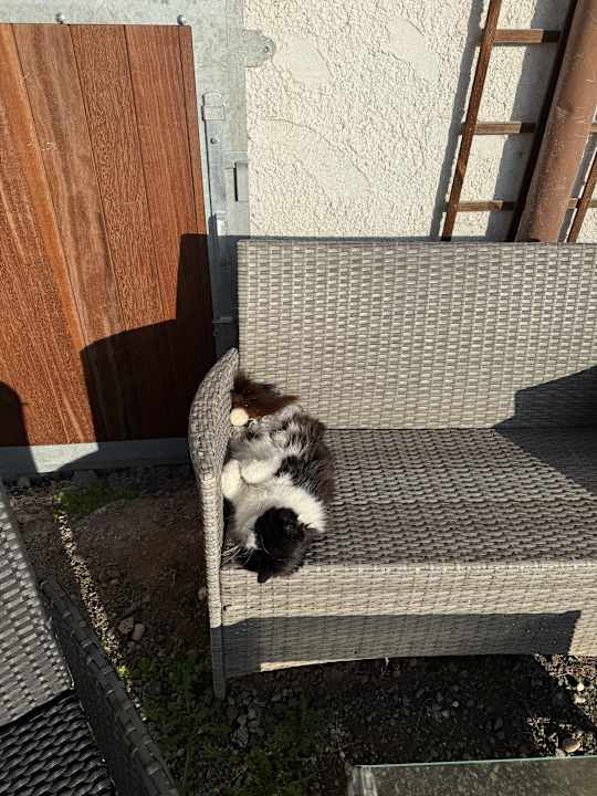 Sonstiges Pension Reitstall Ihlingshof