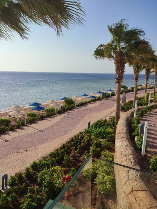 Strand Pickalbatros Palace Resort