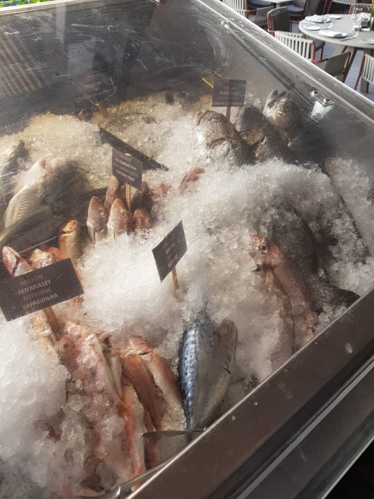 Sport & Freizeit Maxx Royal Belek Golf Resort