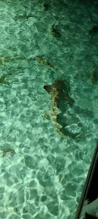 Strand Villa Park Sun Island