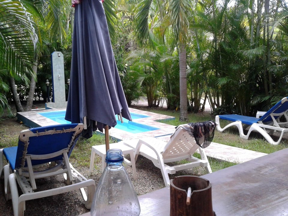 Blick von der Zimmerterrasse Hotel Orchidee