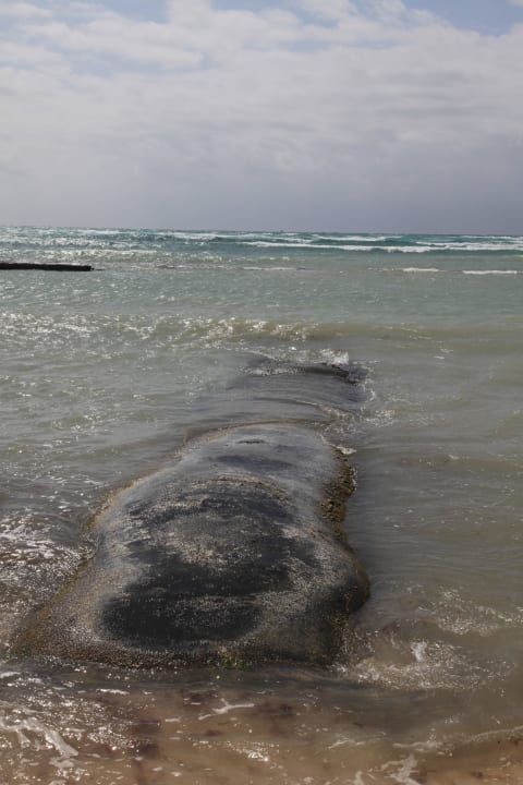 Häßlicher Strandabschnitt TUI BLUE El Dorado Seaside Suites