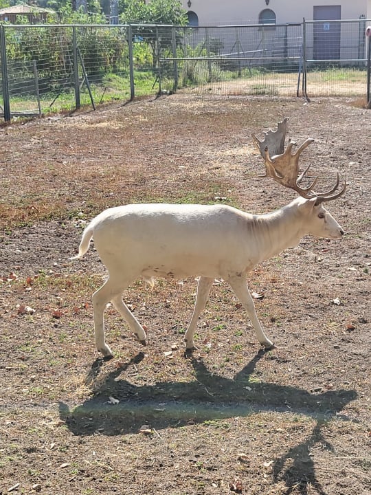 Sonstiges Grecotel LUXME Costa Botanica