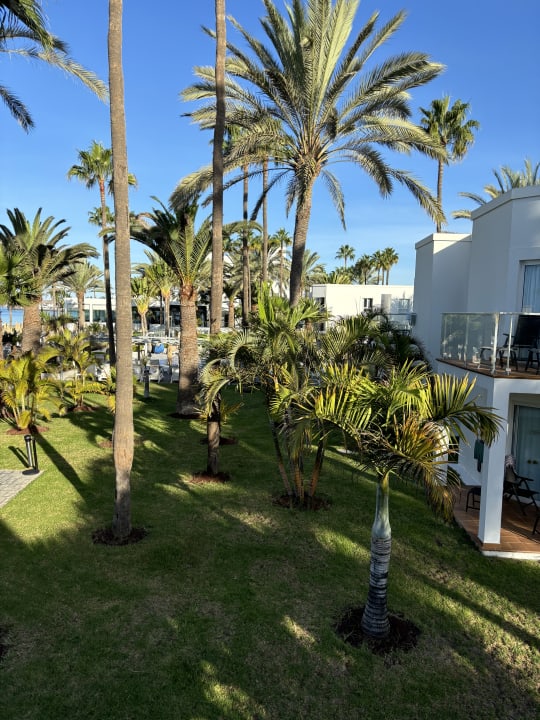 Pool Hotel Riu Palace Meloneras