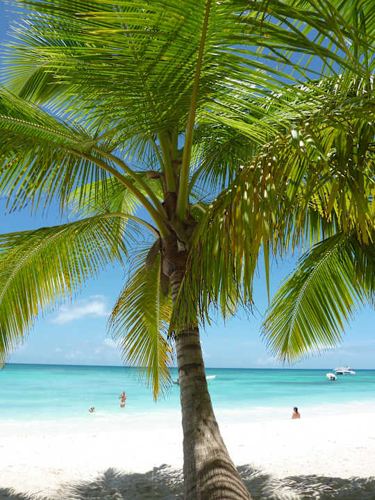 Insel Saona Ausflug Punta Cana Princess All Suites Resort & Spa