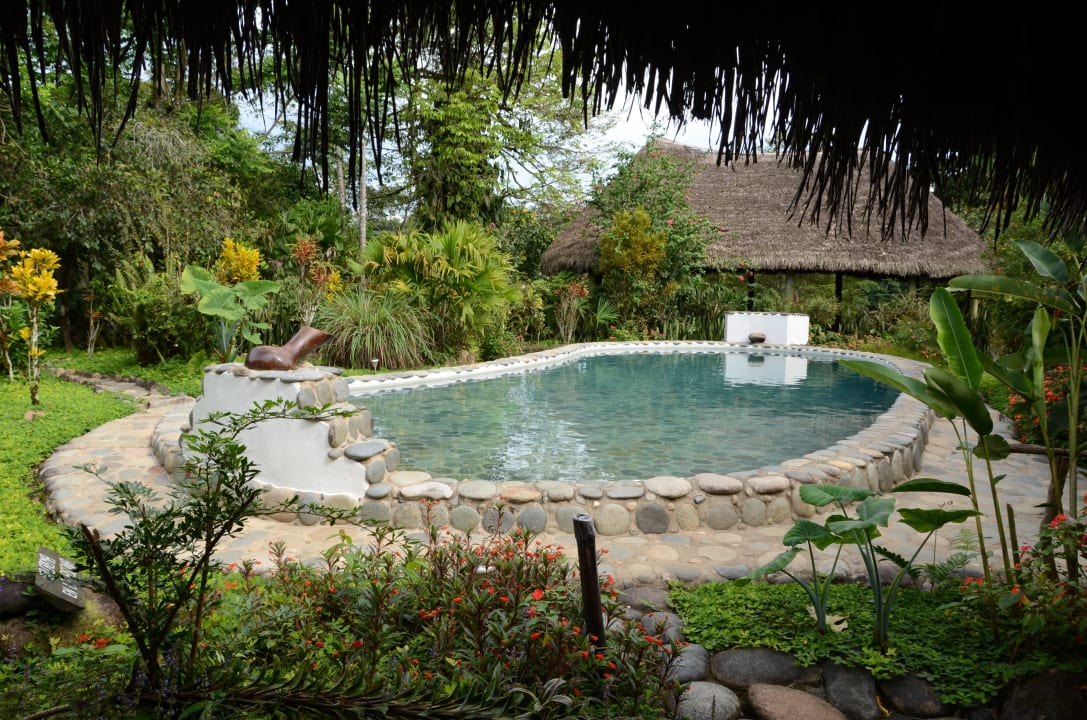 Pool Guesthouse France-Amazonia