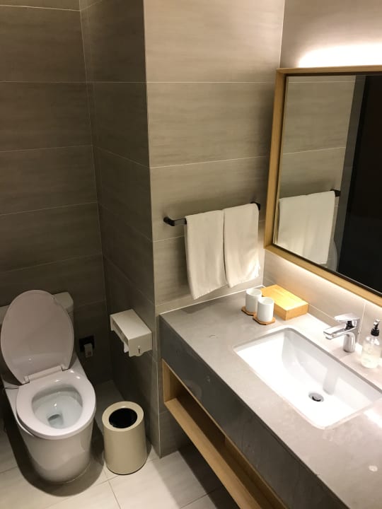 Zimmer Cordis Beijing Capital Airport