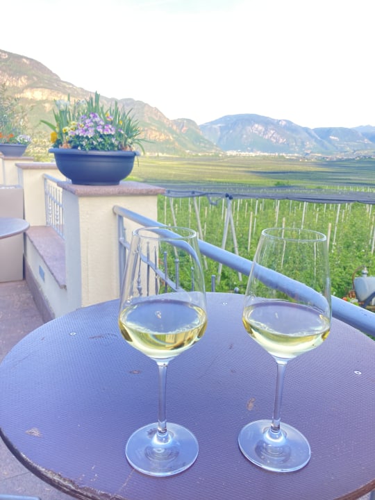 Ausblick Gardenhotel Wilma