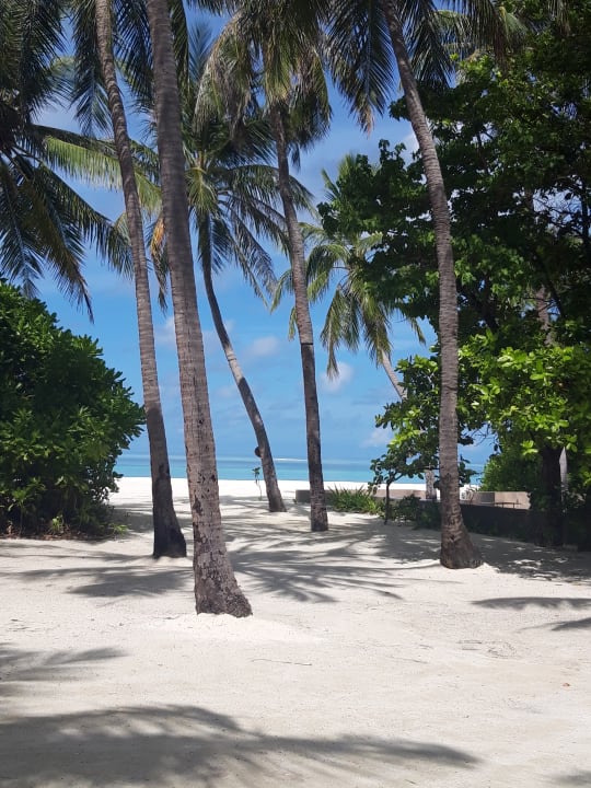 Strand Cocoon Maldives
