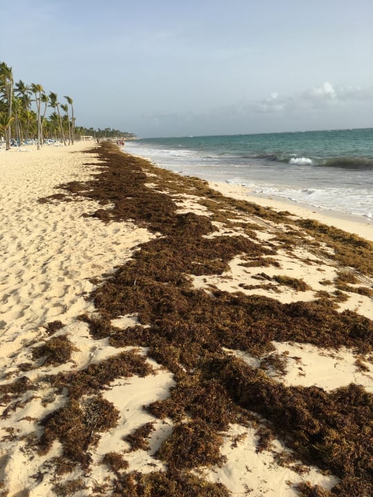 Strand Hotel Riu Palace Macao - Adults only