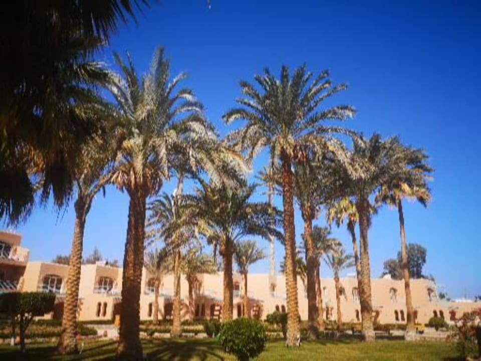 Ausblick Club Paradisio El Gouna, Red Sea