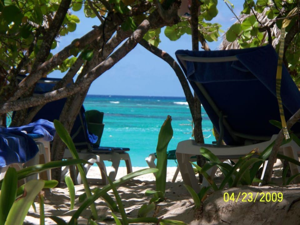 Ein Blick auf den Strand Hotel Grand Palladium Palace Resort, Spa & Casino