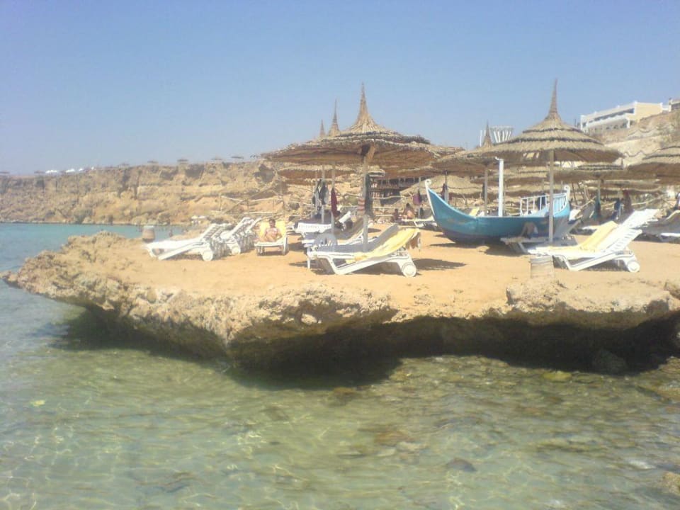 Beach Reef Oasis Beach Resort