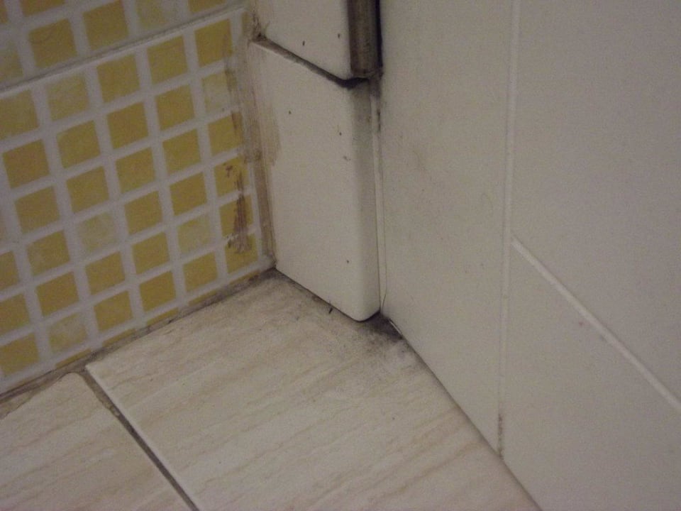 Bad Hotel THB Tropical Island