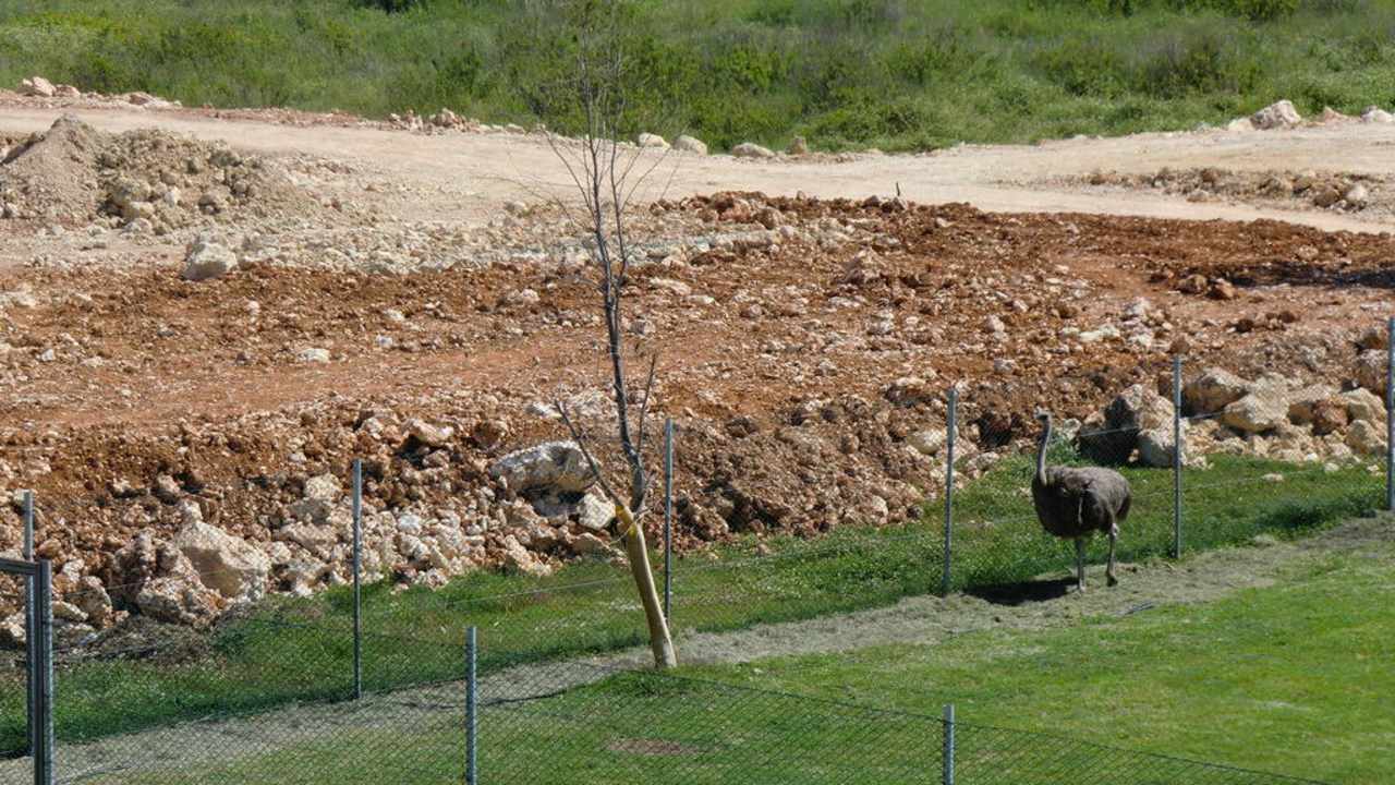 Beim Streichelzoo Belek Beach Resort Hotel