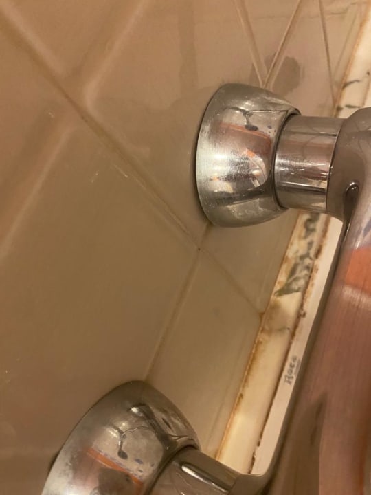 Zimmer BlueBay Beach Club