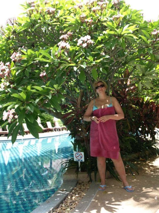 Pool and garden Kata Palm Resort & Spa