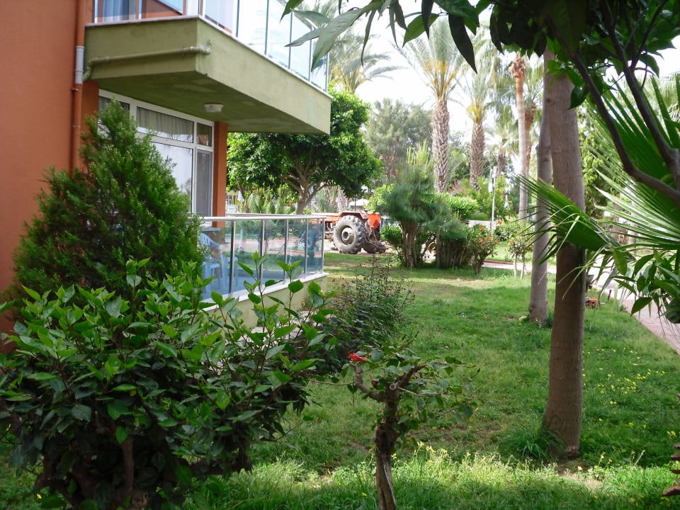 Unser Zimmer ... Lonicera Resort & Spa Hotel