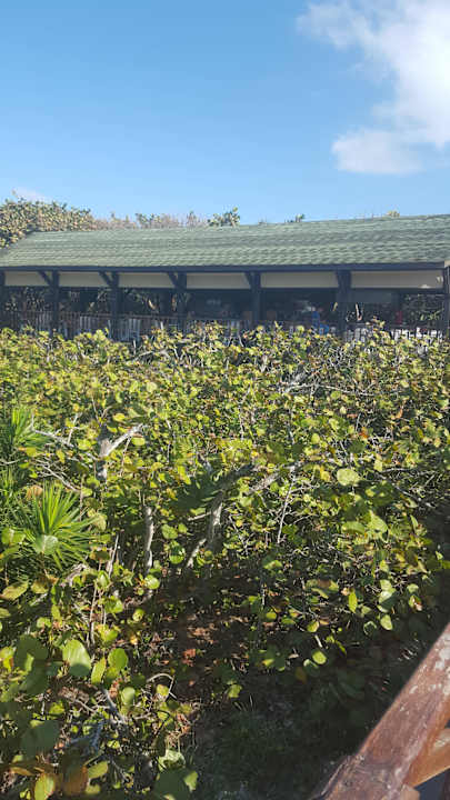 Hintere Ansicht des Mittags-Restaurant Blau varadero - Adults only