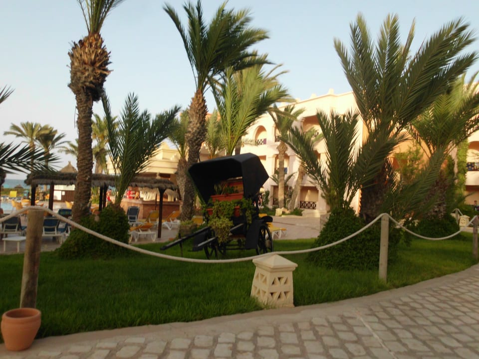 Außenansicht Vincci Safira Palms