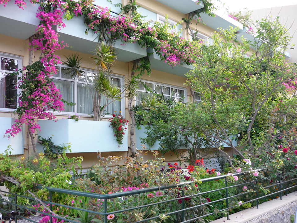 Straßenansicht Hotel Dedalos Beach