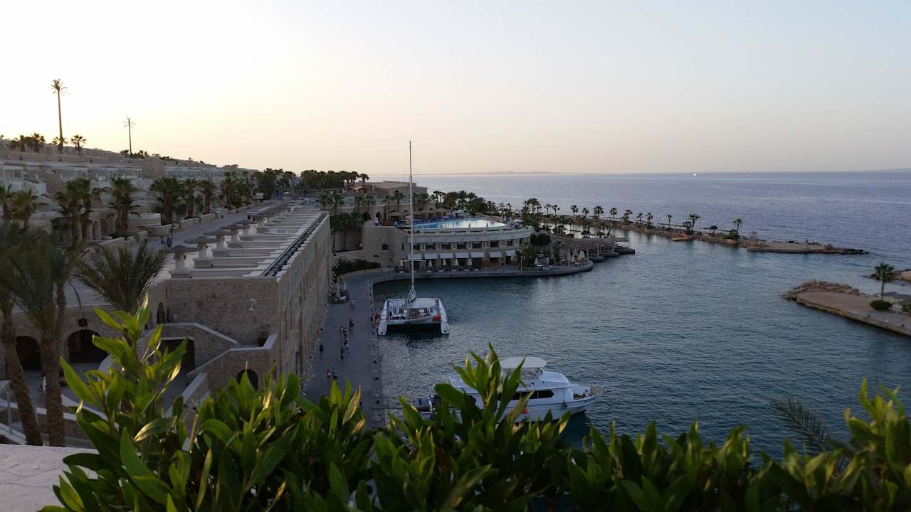 Вид из номера Pickalbatros Citadel Resort