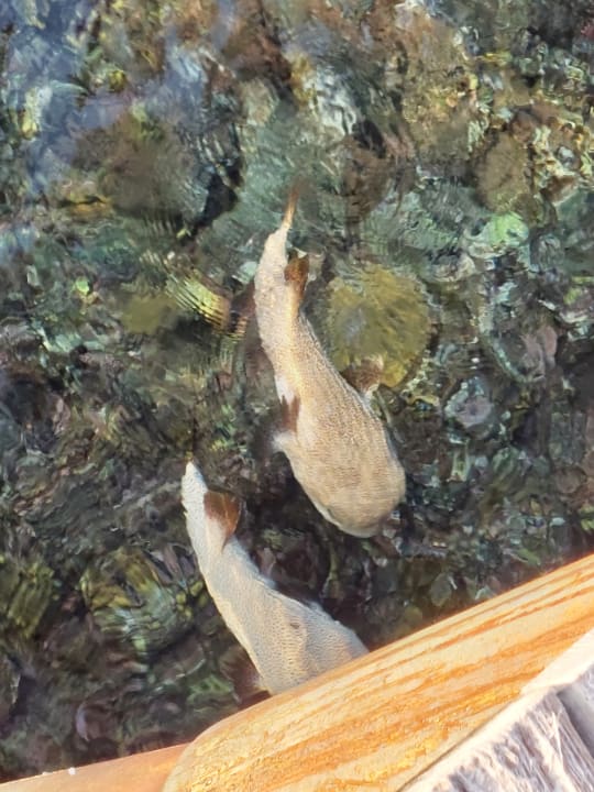 Strand Three Corners Happy Life Beach Resort