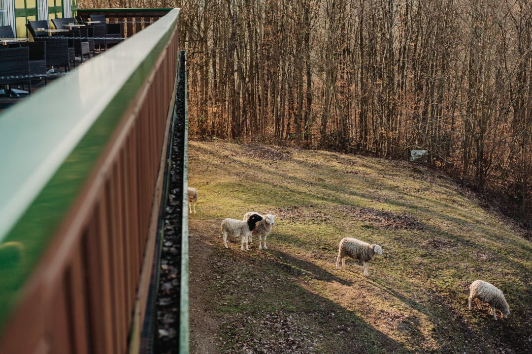 Ausblick Hotel Restaurant 7 Berge am Schlehberg