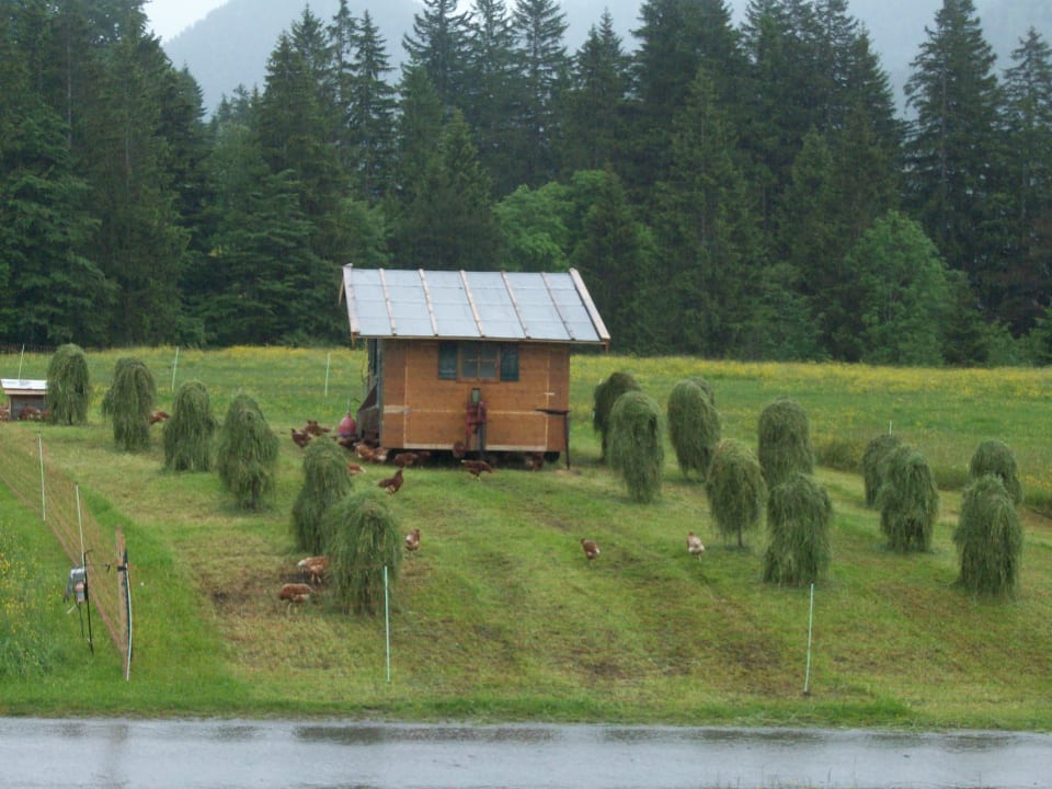 Außenansicht Bauernhof Haus Edelweiss