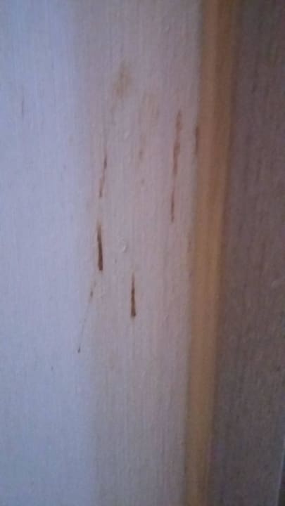 Wand Berghotel Hoher Knochen