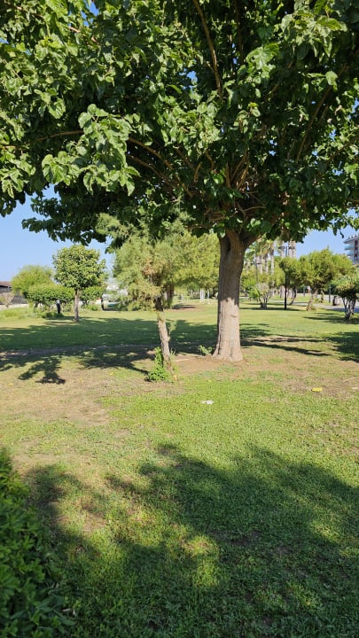 Gartenanlage Side Story Resort & Spa