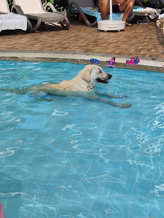 Pool VONRESORT Golden Beach