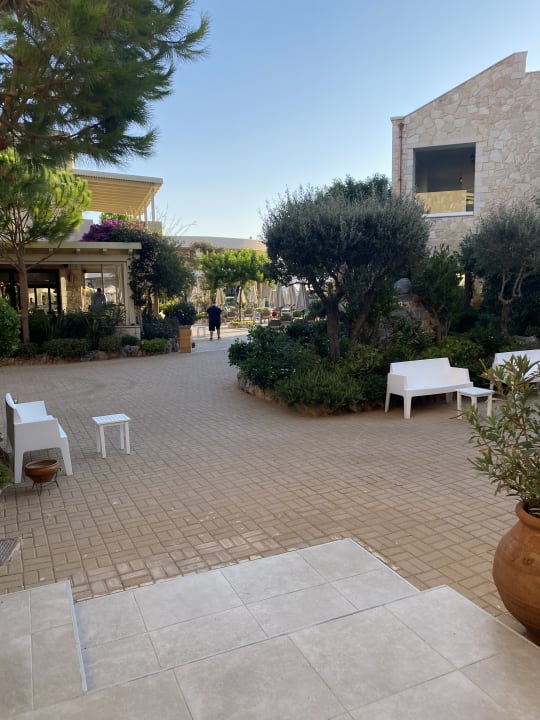 Gartenanlage Cactus Royal