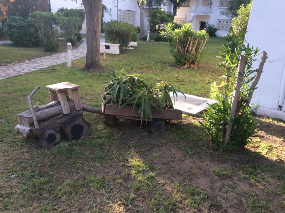 Gartenanlage The Orangers Beach Resort and Bungalows