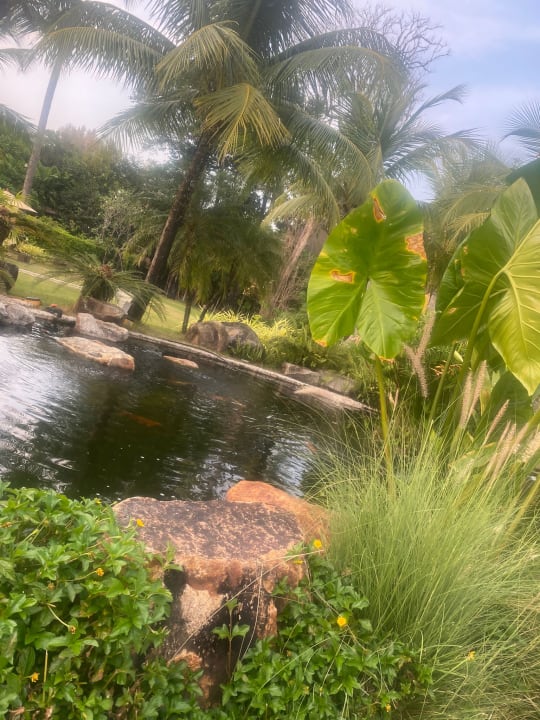 Gartenanlage Eden Beach Resort & Spa, A Lopesan Collection Hotel