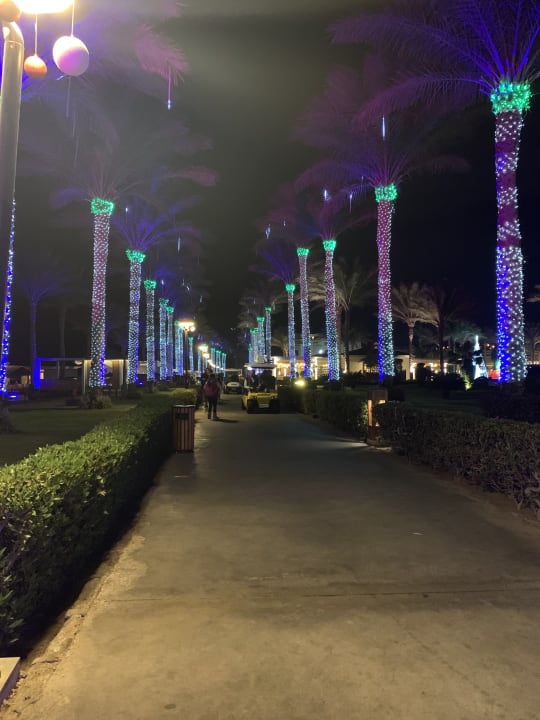 Gartenanlage Rixos Sharm El Sheikh Adults Only 18 +