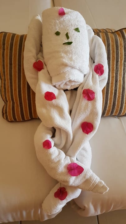 Zimmer Hotel JAZ Makadi Star & Spa